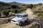 Mercedes-AMG G63 2018 года (WW)